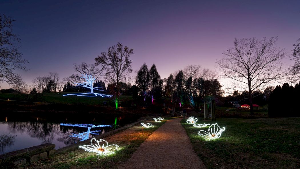A park path at dusk with illuminated white lotus lights along the walkway and a calm pond reflecting the trees and sky, serenity around.