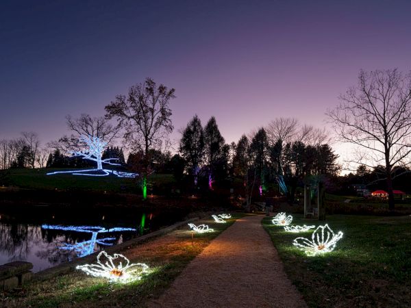 Twilight park with a pond, glowing frog and flower light sculptures along a path, trees silhouettes, calm water reflecting the scene.