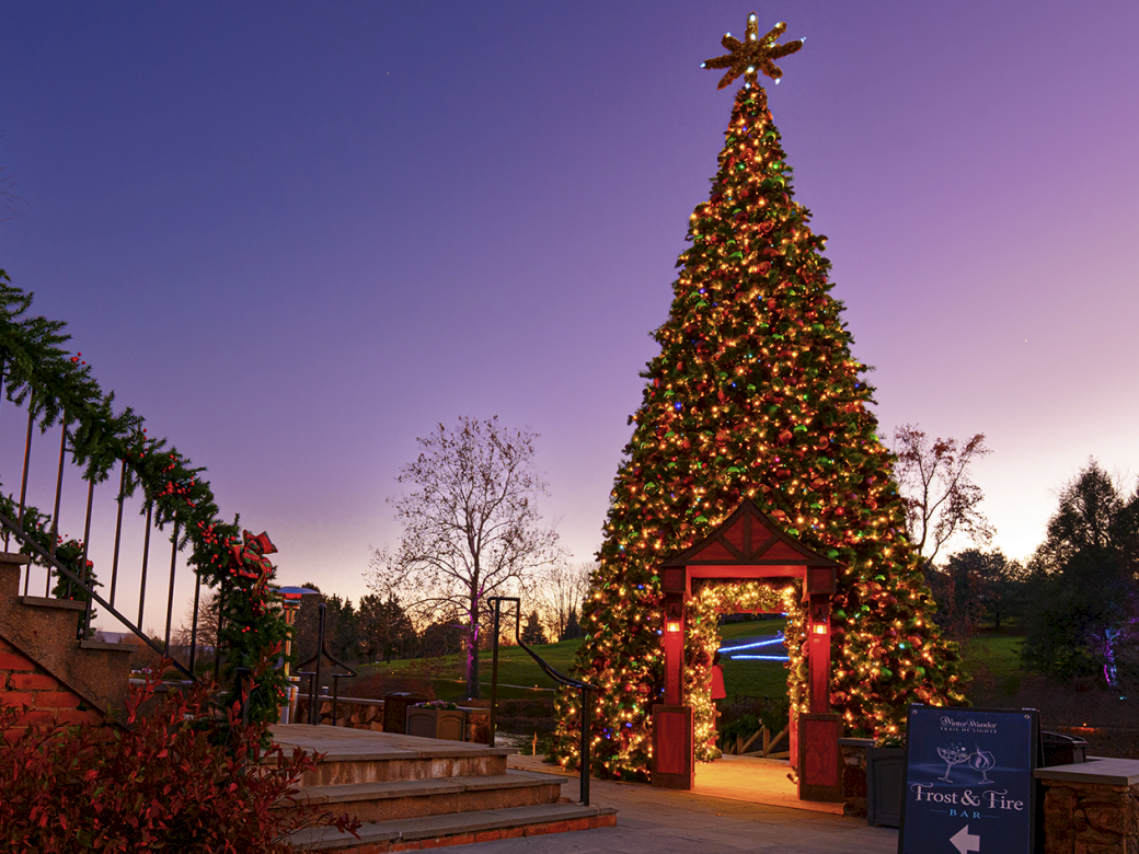 A large illuminated Christmas tree in a park, with festive lights, a star top, and surrounding greenery and a small gate at dusk.