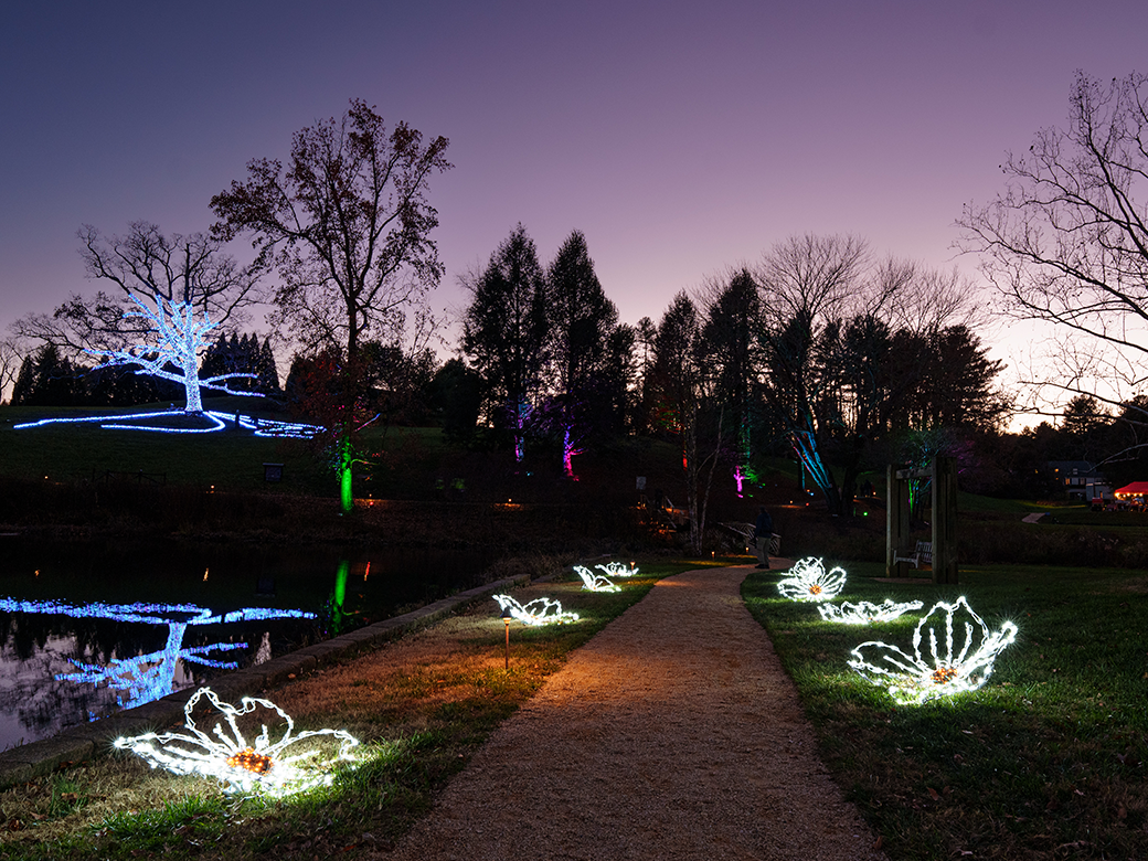 A nighttime park scene with illuminated wireframe sculptures and trees, path, and a small pond reflecting colorful lights, ending in twilight.