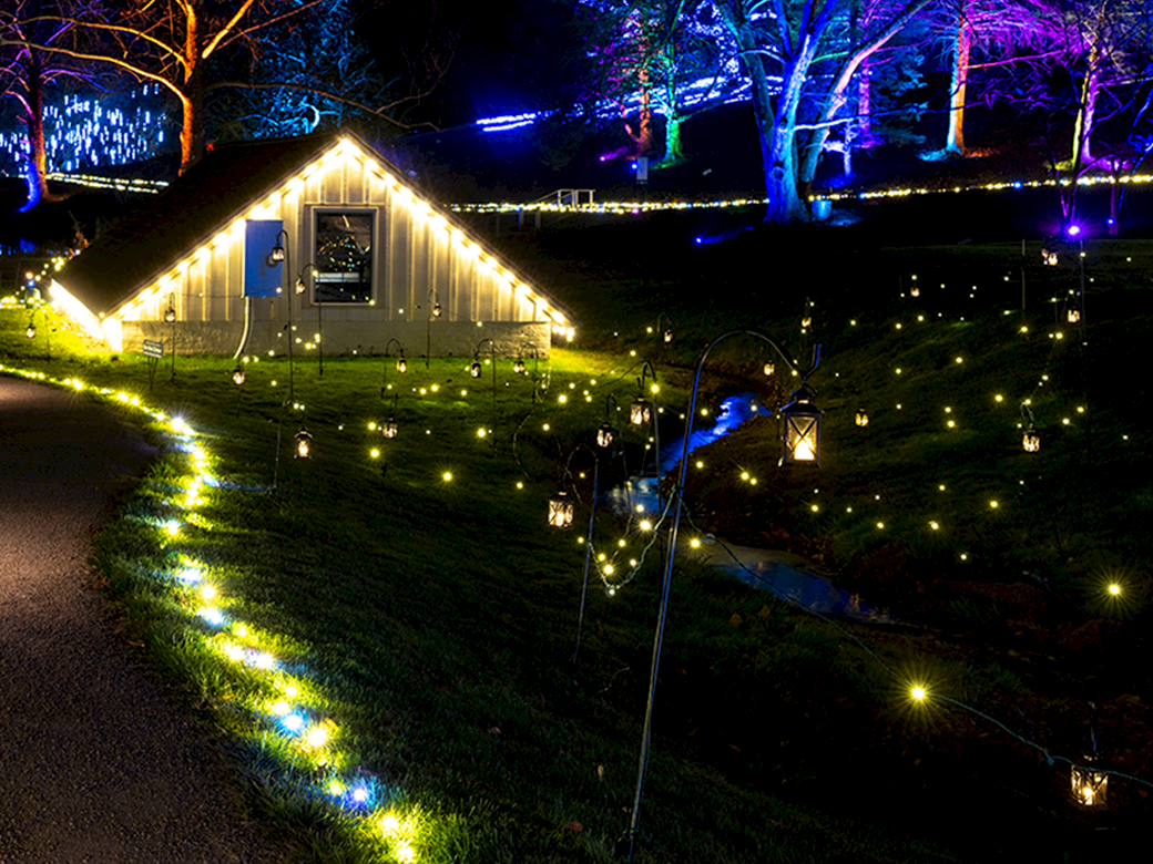 A house lit with warm string lights along the roof and path, plus yard trees glowing in blue and purple under a night sky.