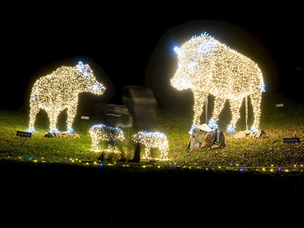 Two illuminated reindeer figures and a small pair of animals, all outlined with bright white lights, set in a dark yard.