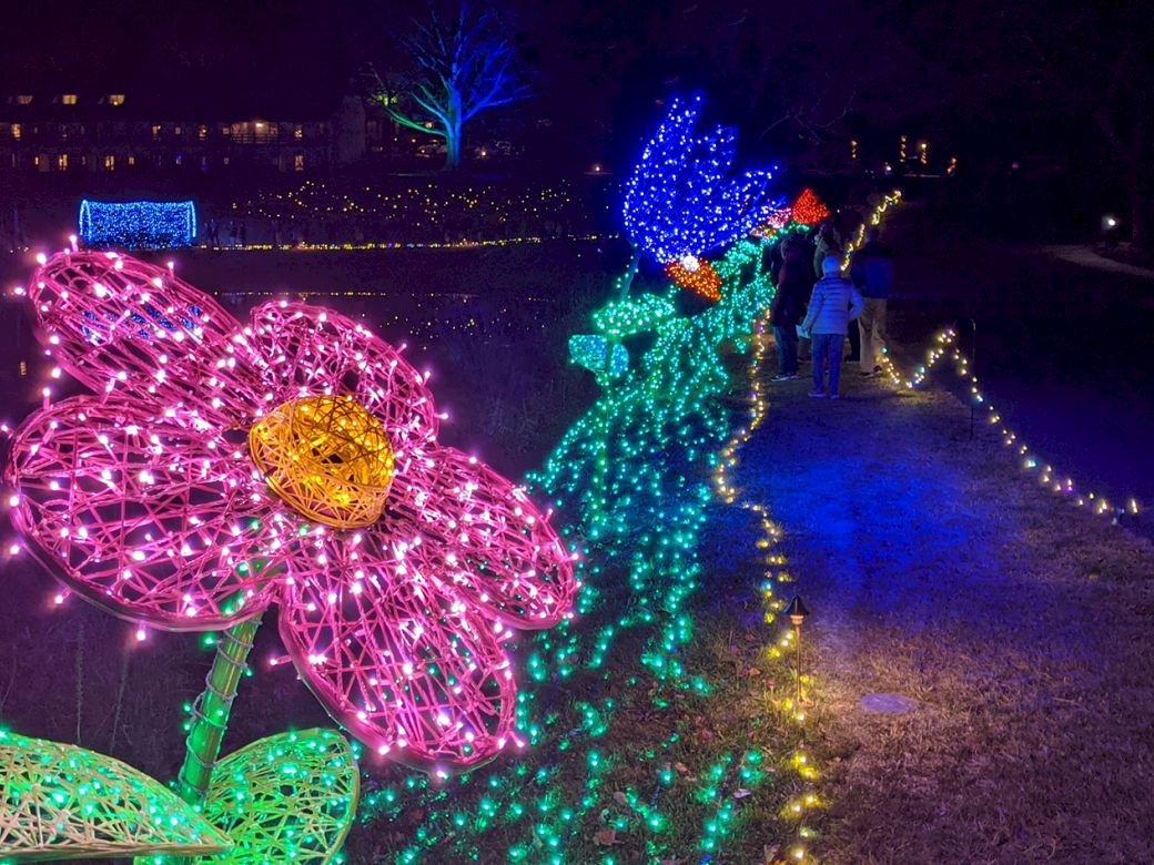 Colorful illuminated wire sculptures line a dark path: oversized pink flower, green stem, and blue bird figures created from string lights.