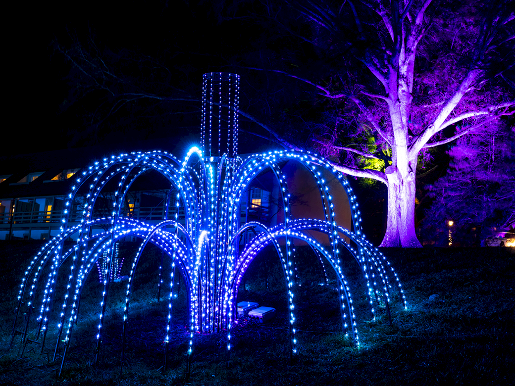 A glowing blue fountain sculpture made of curved LED arches, illuminated on the lawn with purple-lit trees in the background, at night.
