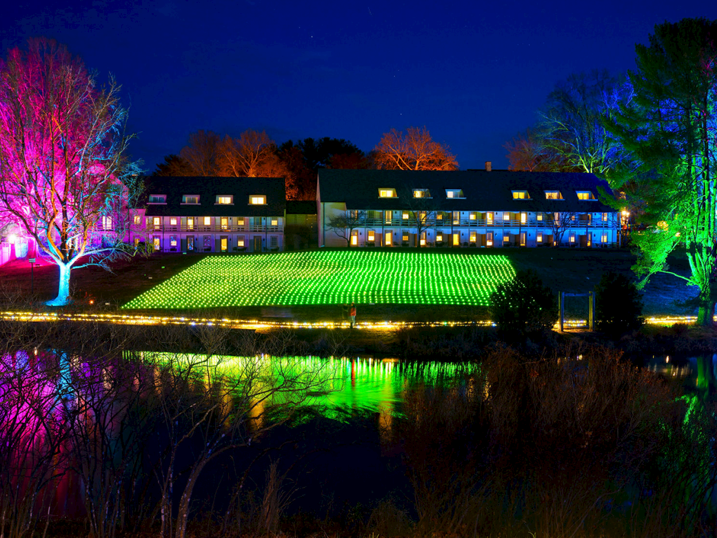 Colorful night scene of a building and lawn lit by vibrant neon lights, reflecting in a calm body of water.