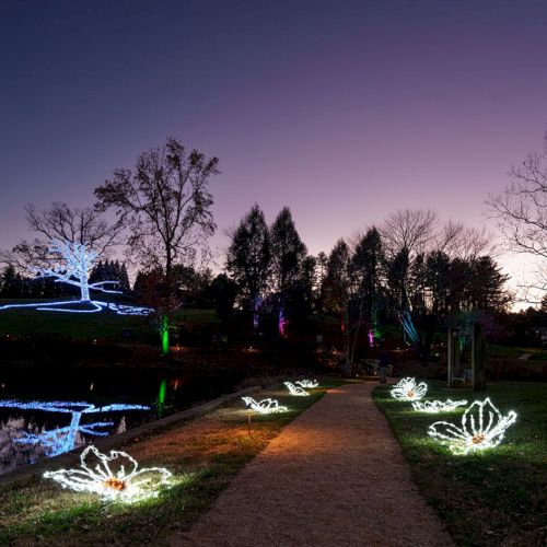 A twilight park path lined with glowing crown-shaped lights along a pond, trees silhouettes, and a calm, colorful sky at dusk.