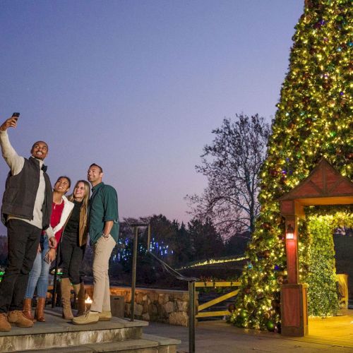 A group of friends takes a selfie near a towering, illuminated Christmas tree in a festive outdoor setting at dusk.