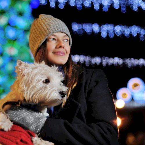 A woman in a warm hat holds a small dog wrapped in red blanket, with festive lights and a Christmas tree in the background, night scene.